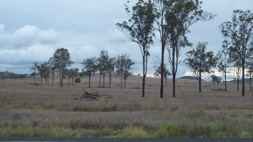 Сухие и поля, огромные участки. Деревенская Австралия