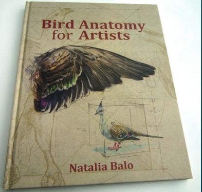 Bird Anatomy for Artists